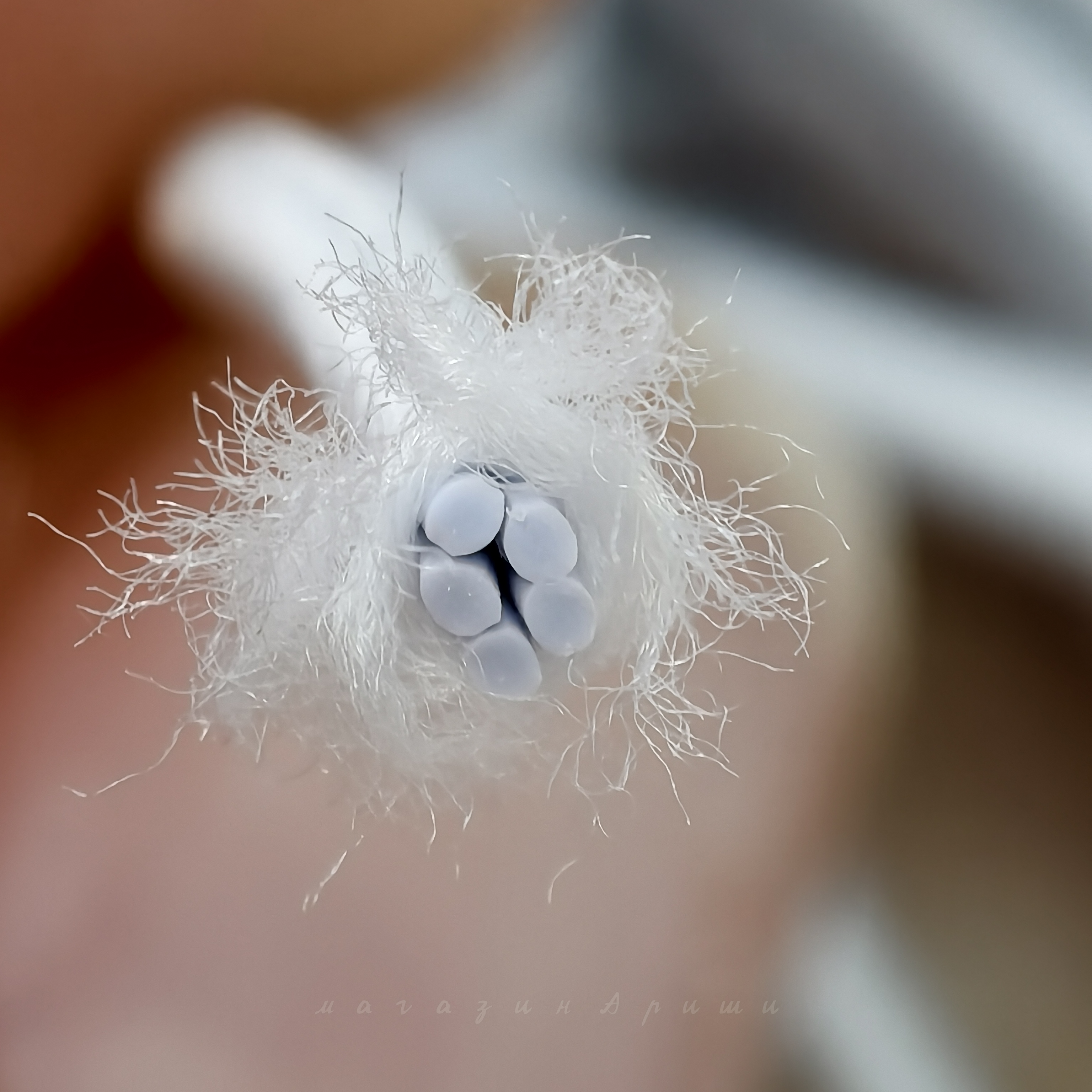 Детальное фото многожильной латексной резинки для перетяжки шарнирных кукол BJD - магазин Кукольные нежности